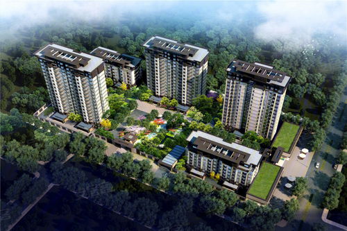 金堂蓝光房产怎么样