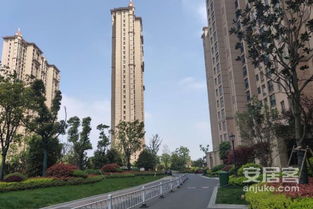 中南房产口碑怎么样