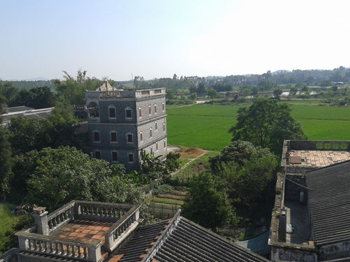 震远房产怎么样