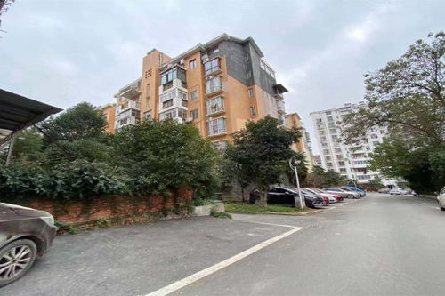 震远房产怎么样