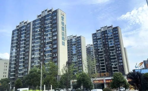 拥有多套房产怎么利用