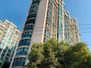 蝴蝶号房产怎么做