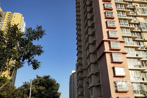 校园里私人房产怎么处理 校园里私人房产怎么处理