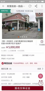 拍卖涉案房产怎么办