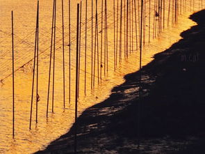 夕阳的房产怎么样