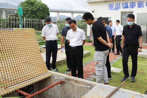 治理房产内容怎么写好呢