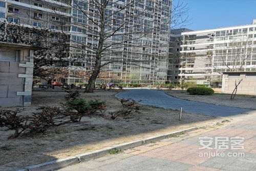 新洲天天房产怎么样 新洲天天房产怎么样