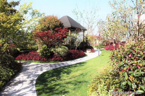 虹宇宙怎么赠送好友房产