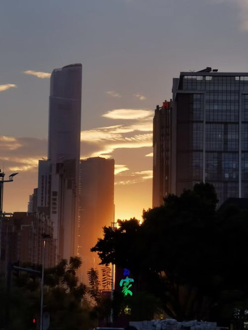 在中山没房产怎么落户