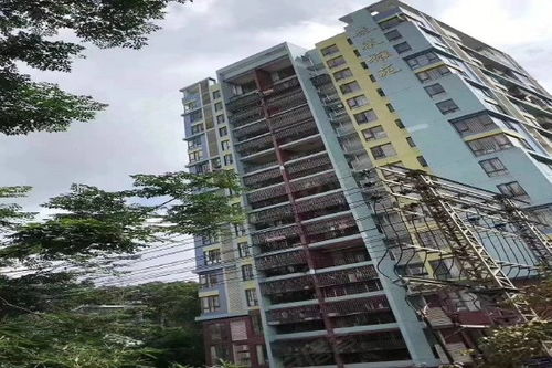 泰莱房产怎么样 泰莱房产怎么样