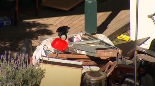 侵占他人房产怎么办