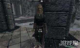 上古卷轴5怎么获得房产