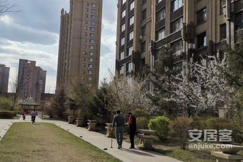 洛阳点石房产怎么样