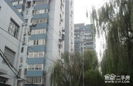 爱山东里边怎么查房产