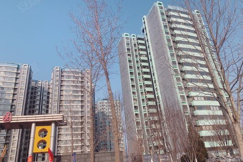 夏邑腾飞房产怎么样