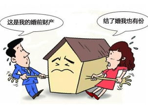 公司分配媳妇房产怎么分配