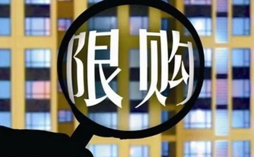 房产类怎么涨粉快