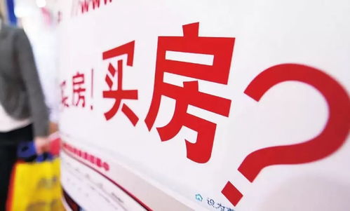 房产类怎么涨粉快