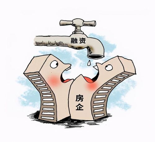 房产周边土地归属怎么写