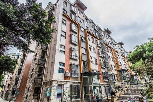 湛江金桔房产怎么样