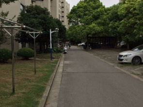 湛江金桔房产怎么样