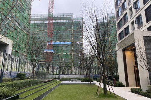 天宸房产怎么样