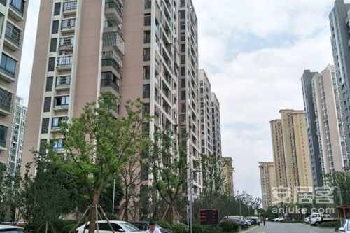 阳山房产怎么样