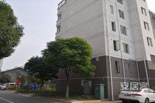 阳山房产怎么样