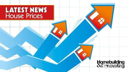 免评估房产项目怎么填