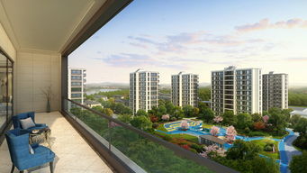 姓林的怎么起房产名