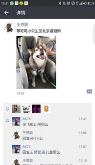 房产咨询小段子怎么写好