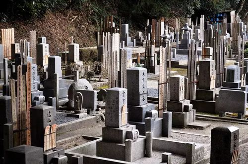 康威房产墓地怎么样 康威房产墓地怎么样