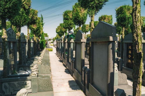 康威房产墓地怎么样 康威房产墓地怎么样