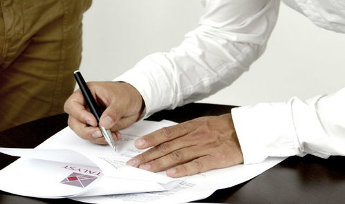 房产经济介绍怎么写范文