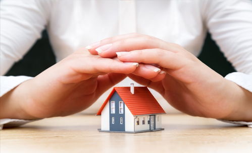 购房产权性质怎么填写