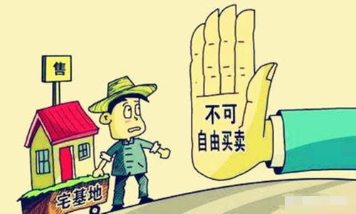 怎么才算违规房产呢