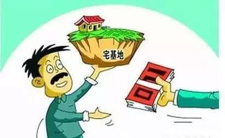 自己的房产确权怎么查