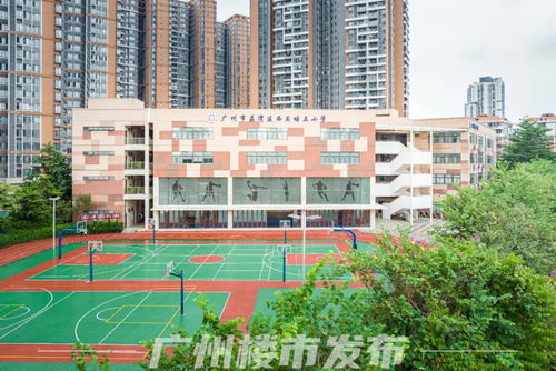 广州有房产怎么上小学