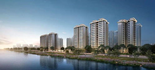 中辰的房产怎么样