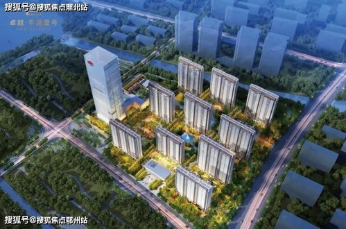 来宾卓越房产怎么样