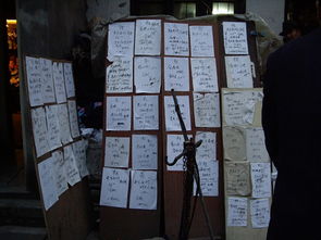 领导推销房产怎么拒绝他