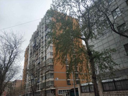 重庆樱桃房产怎么样