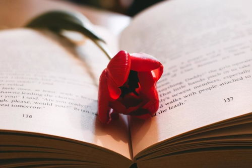 没房产证怎么析产