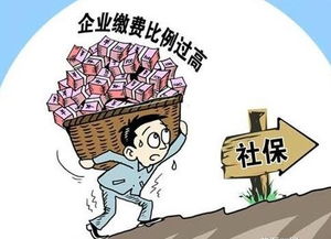 房产官司调解费怎么算