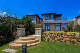 线上怎么卖别墅房产呢