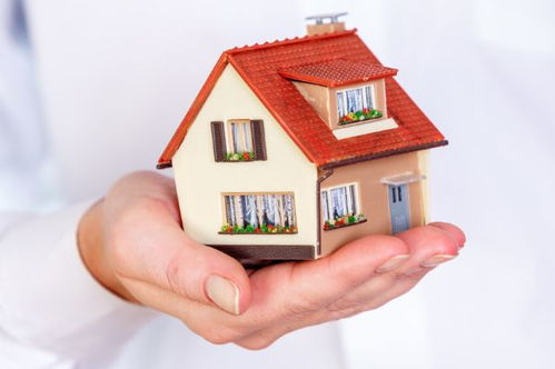 房产拍卖陷井怎么处理的