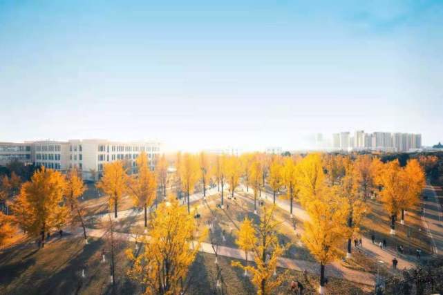 房产楼层图文解释怎么写