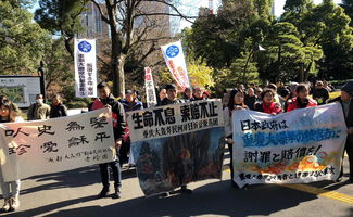 搬迁争夺房产怎么处理的