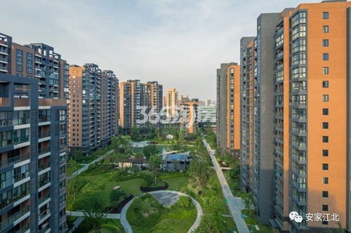 高新区房产怎么选 高新区房产怎么选