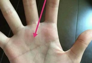 怎么看手纹有房产